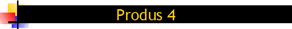 Produs 4